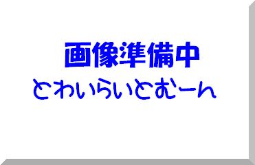 たる型（約8*10ｍｍ）/アクリルソーイングストーン(縫い穴あり）・高品質タイプ